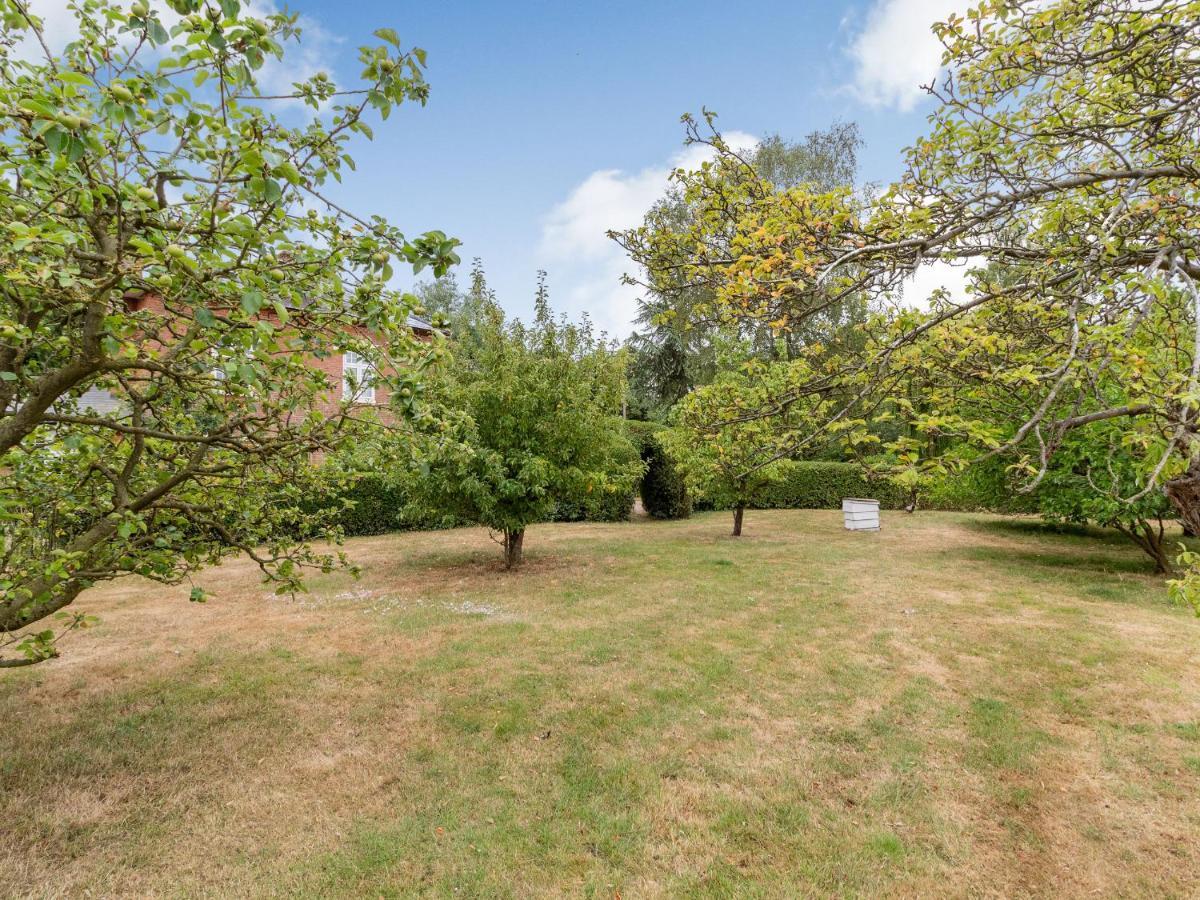 The Nest Box Villa Diss Bagian luar foto